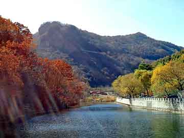 新澳天天开奖资料大全旅游团，虫族小说